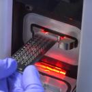 Hand inserts target plate into mass spectrometer with red light.