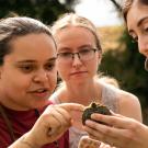 Three people look at small turtle