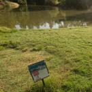 Arboretum Waterway in background, sign in foreground