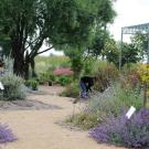 Photo: Haagen-Daz Honey Bee Haven