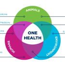 One Health Venn Diagram