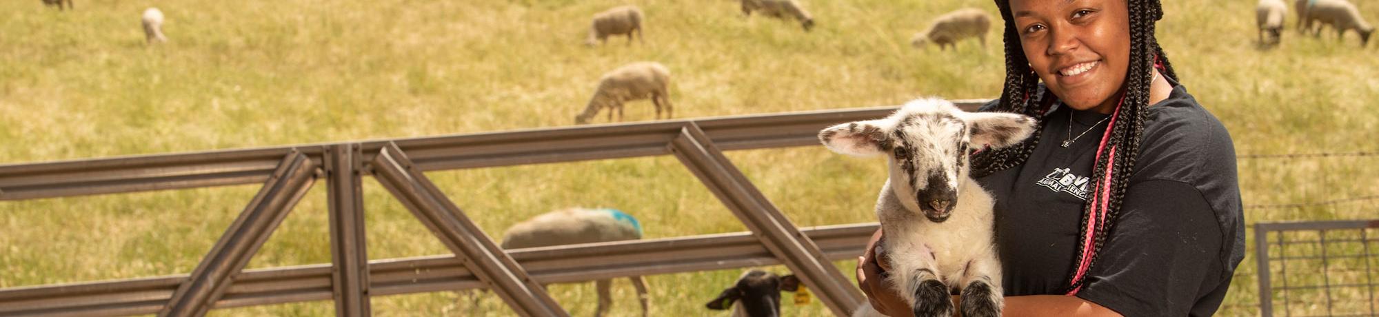 A UC Davis Animal Science student holds a baby goat