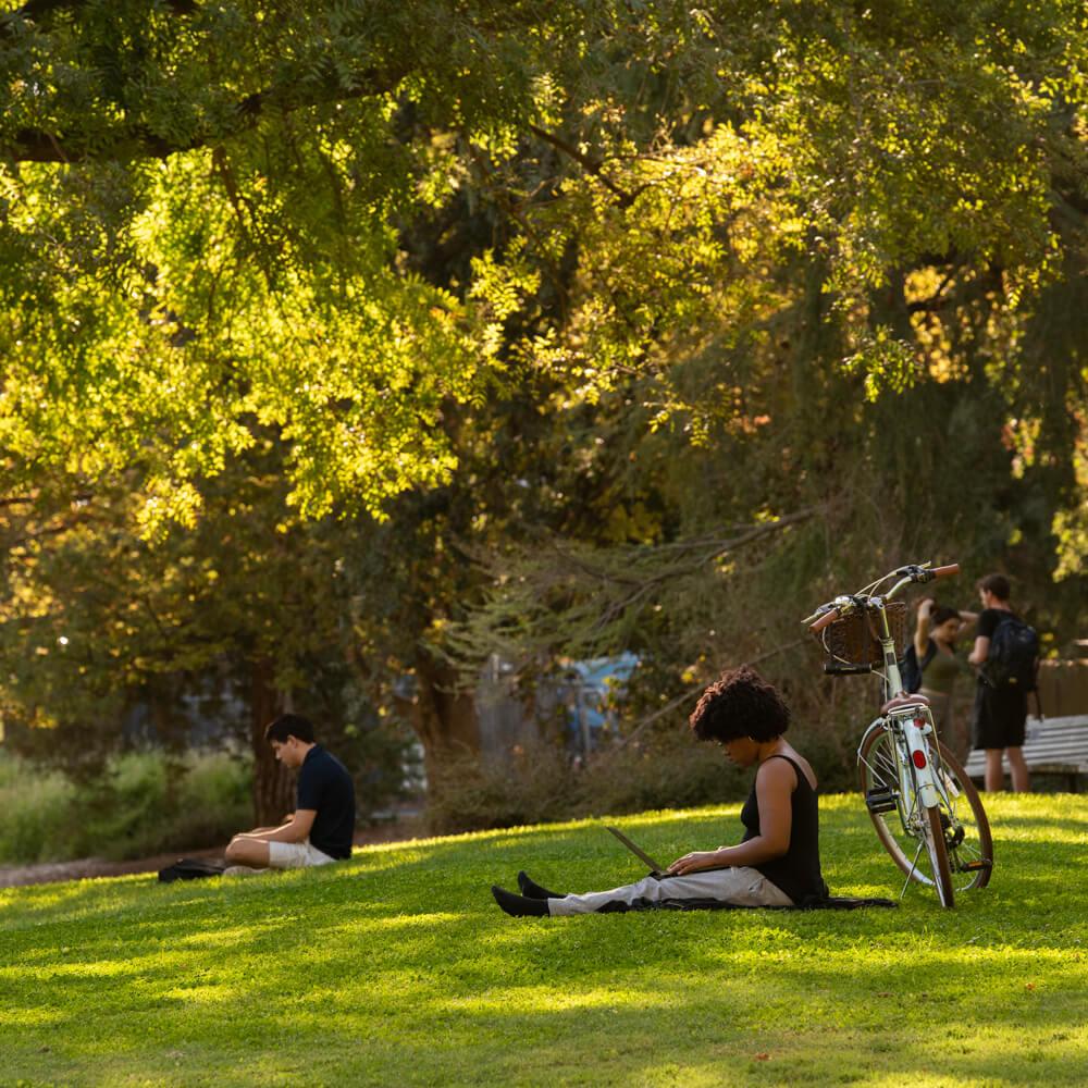 students sitting enjoying the arboretum