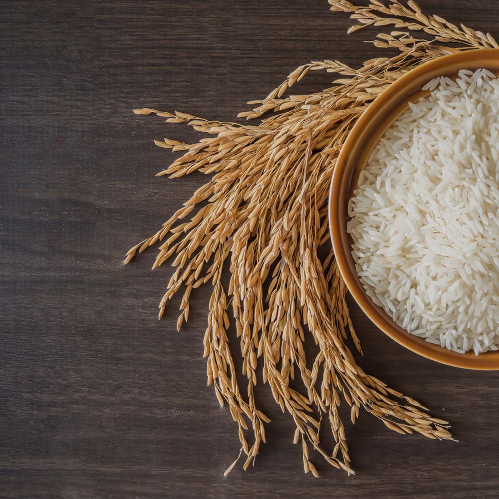 Bowl of rice with rice grain next to it.