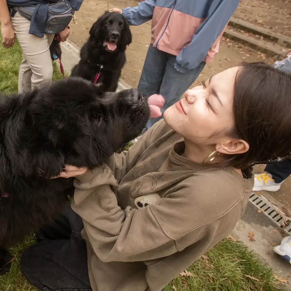 A woman kneels on grass, smiling as a large black dog playfully licks her face.