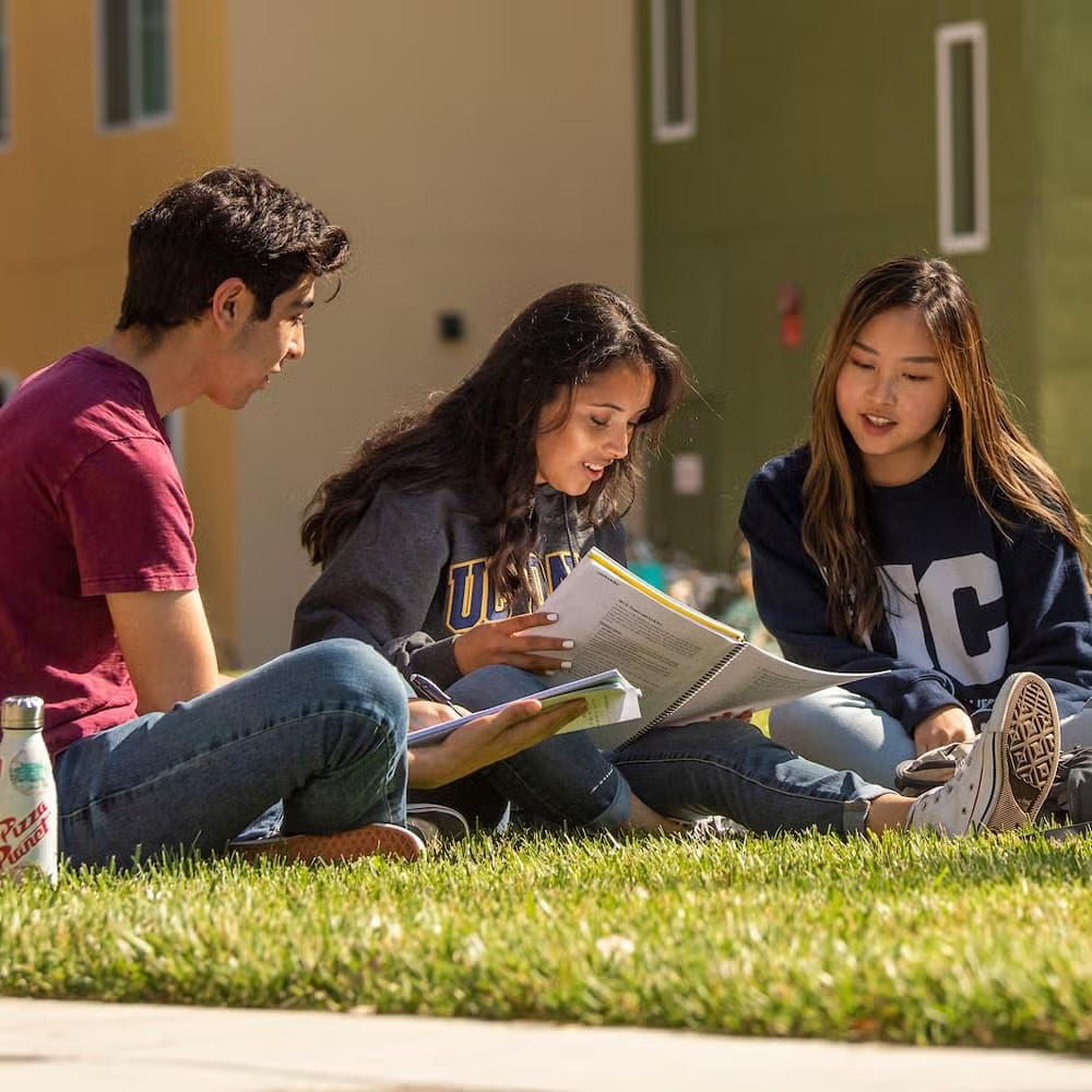 Students studying on a lawn