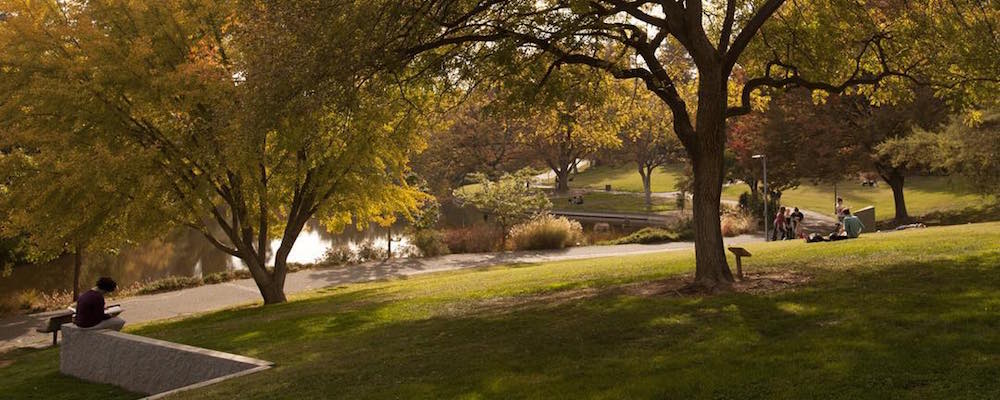 A scene of the UC Davis Arboretum at sunset