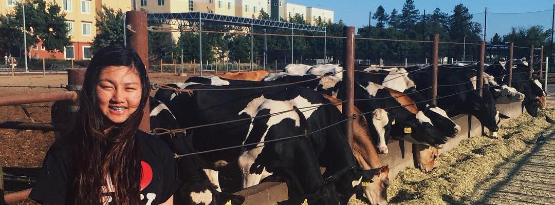 Woman smiling with a row of cattle grazing behind her
