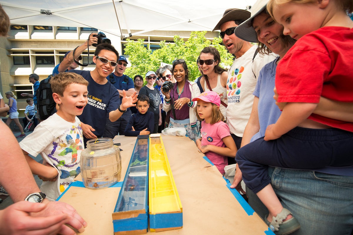 Kids look at the cockroach races during UC Davis Picnic Day.