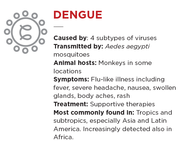 Dengue