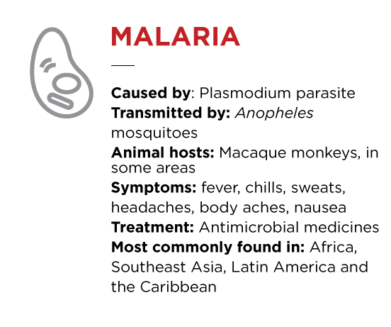 Malaria