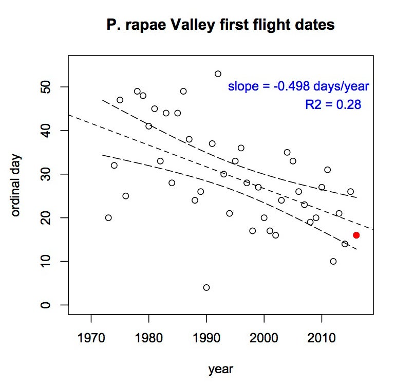 Graph showing cabbage white butterflies' first flight each year.